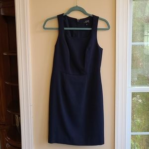 The Limited Navy Fitted Sleeveless Sheath Dress